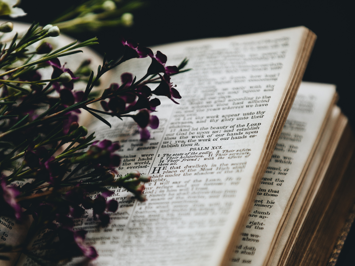 flowers laying on an open bible